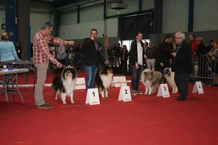 Maverick de Remember our Love - 1er Exc cj et Meilleur Jeune