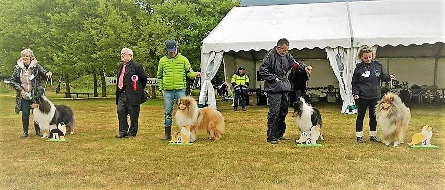 Maverick de Remember our Love - 3eme EXC CIM, a obtenu le TAN 16/16