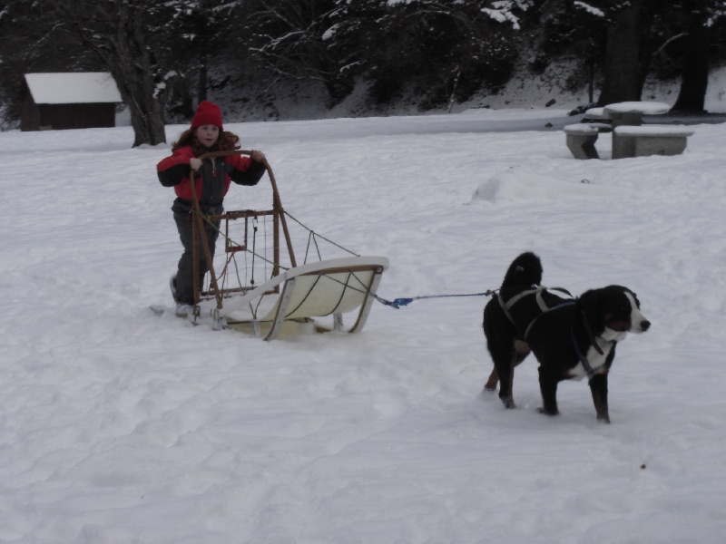Publication : de la grande vallée blanche Auteur : Reder Brigitte