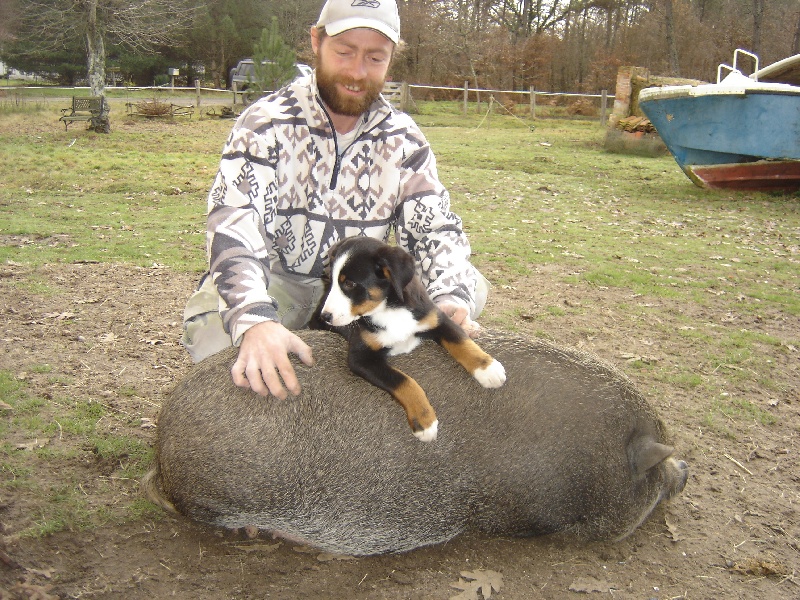Publication : de la grande vallée blanche Auteur : reder brigitte