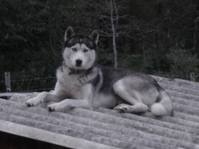 Publication : de la grande vallée blanche