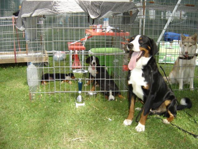 Publication : de la grande vallée blanche Auteur : Reder Brigitte