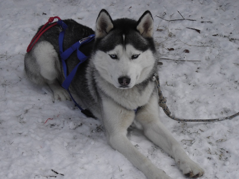Publication : de la grande vallée blanche