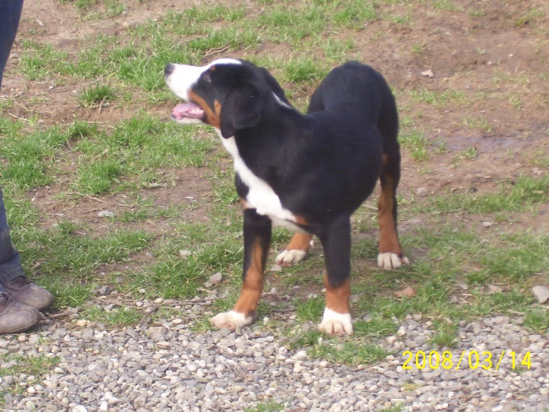 Publication : de la grande vallée blanche Auteur : Reder Brigitte