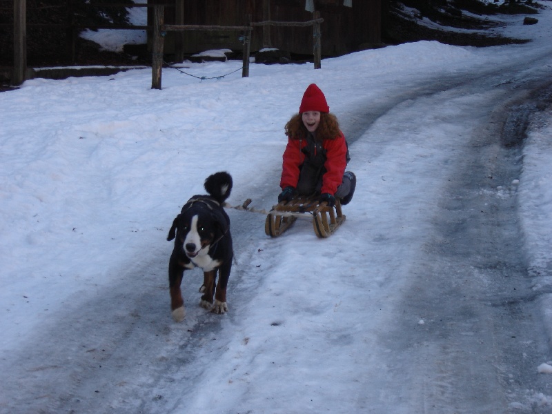 Publication : de la grande vallée blanche Auteur : Reder Brigitte