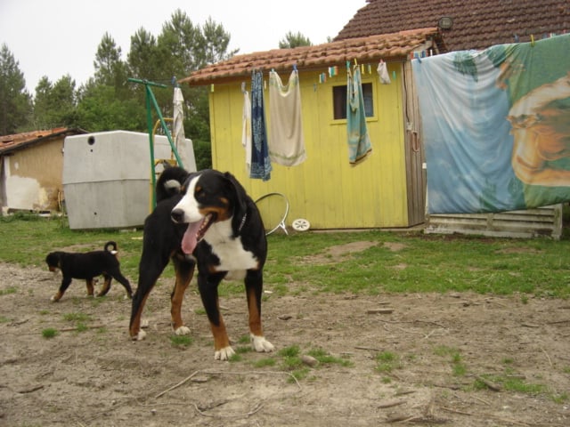 Publication : de la grande vallée blanche Auteur : Reder Brigitte