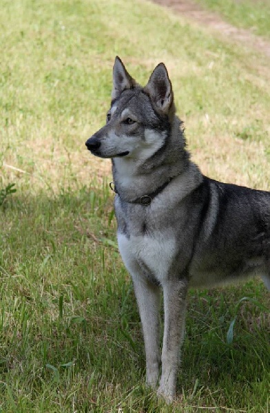 Publication : Des Princes Des Plaines Auteur : Marie Majkowiez