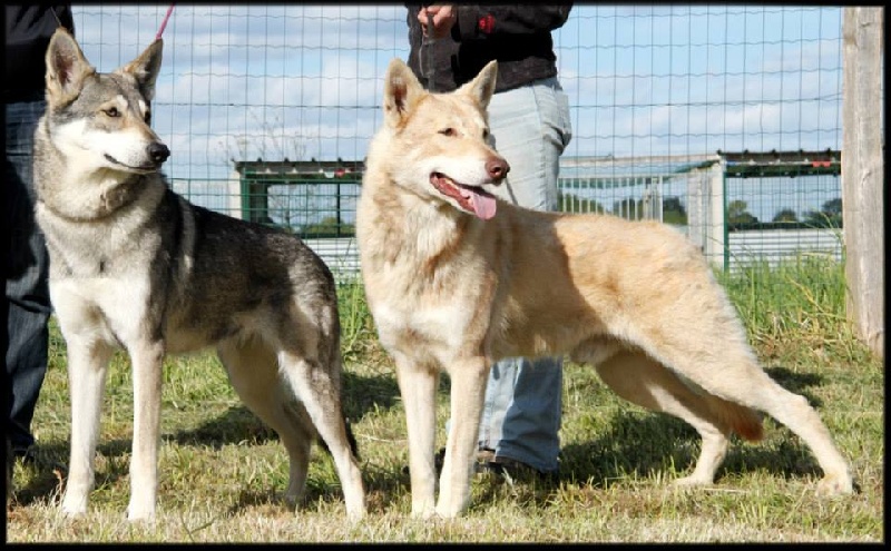 Publication : Des Princes Des Plaines Auteur : Marie Majkowiez