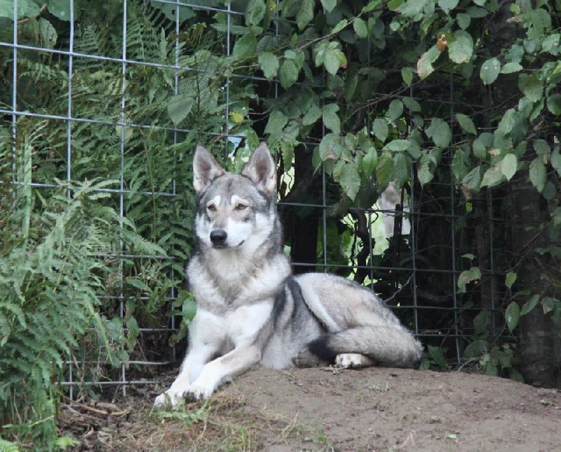 Publication : Des Princes Des Plaines Auteur : Marie Majkowiez