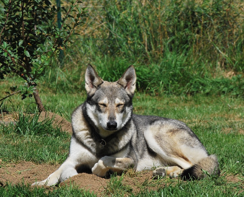 Publication : Des Princes Des Plaines Auteur : Marie Majkowiez