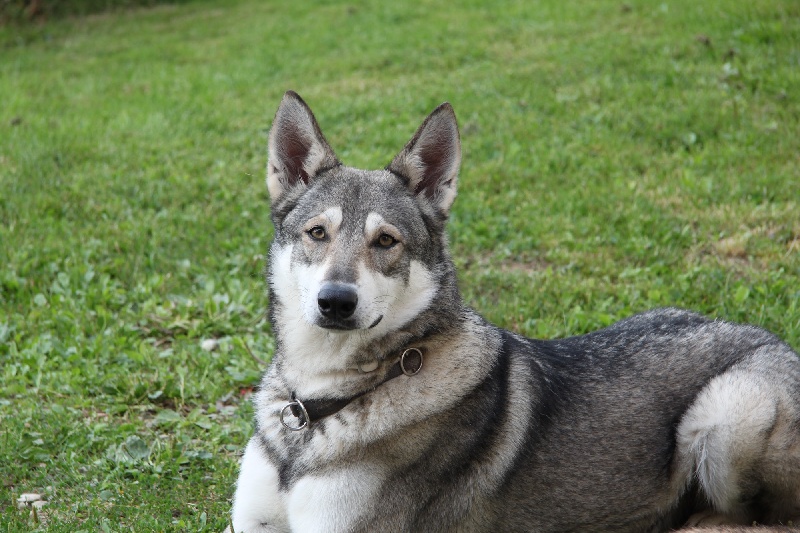 Publication : Des Princes Des Plaines Auteur : Marie Majkowiez