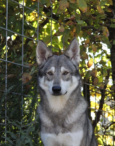Publication : Des Princes Des Plaines Auteur : Marie Majkowiez