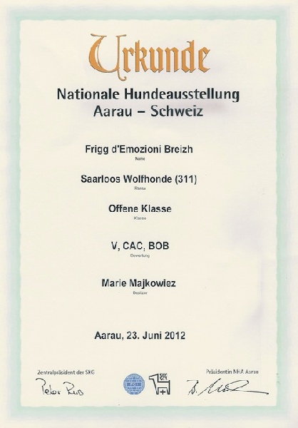 CH. Frigg d'Emozioni Breizh - 1ère place, qualificatif Excellent, CAC, BOB (meilleur de race)
