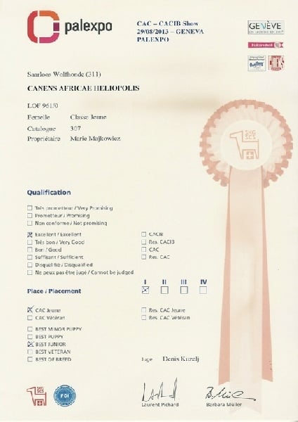Canens Africae Héliopolis - 1er rang ; qualificatif excellent ; CAC jeune, Meilleur Jeune.