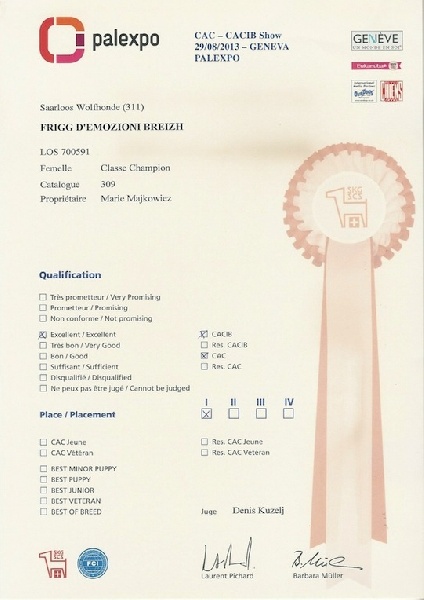 CH. Frigg d'Emozioni Breizh - 1er rang ; qualificatif excellent ; CAC, CACIB