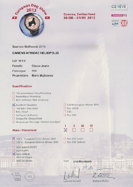 Canens Africae Héliopolis - 1er rang ; qualificatif excellent ; CAC jeune, Jeune Championne d'Europe