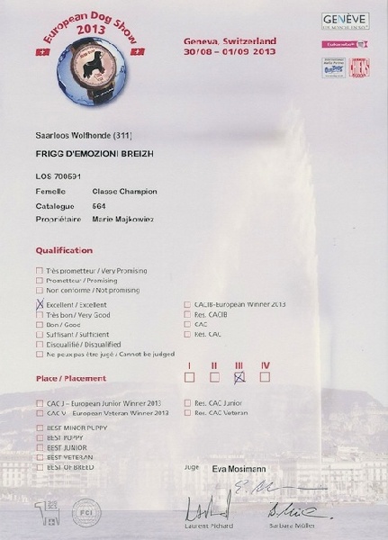 CH. Frigg d'Emozioni Breizh - 3ème rang ; qualificatif excellent