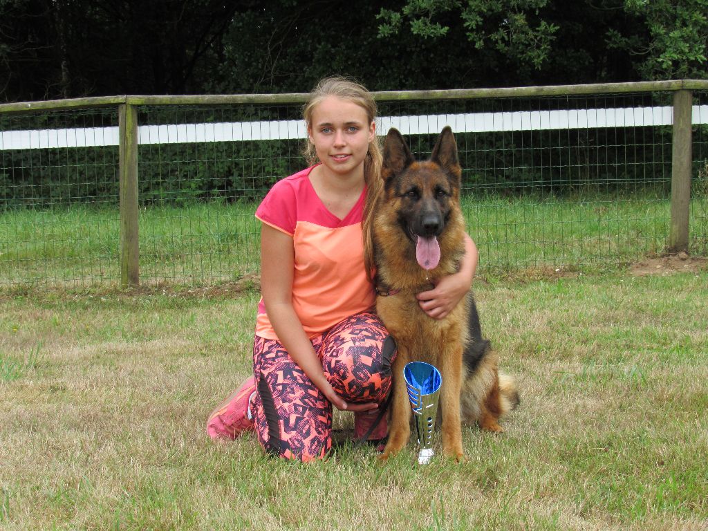 Loper du mont du tassili - 3 ème Excellent classe travail