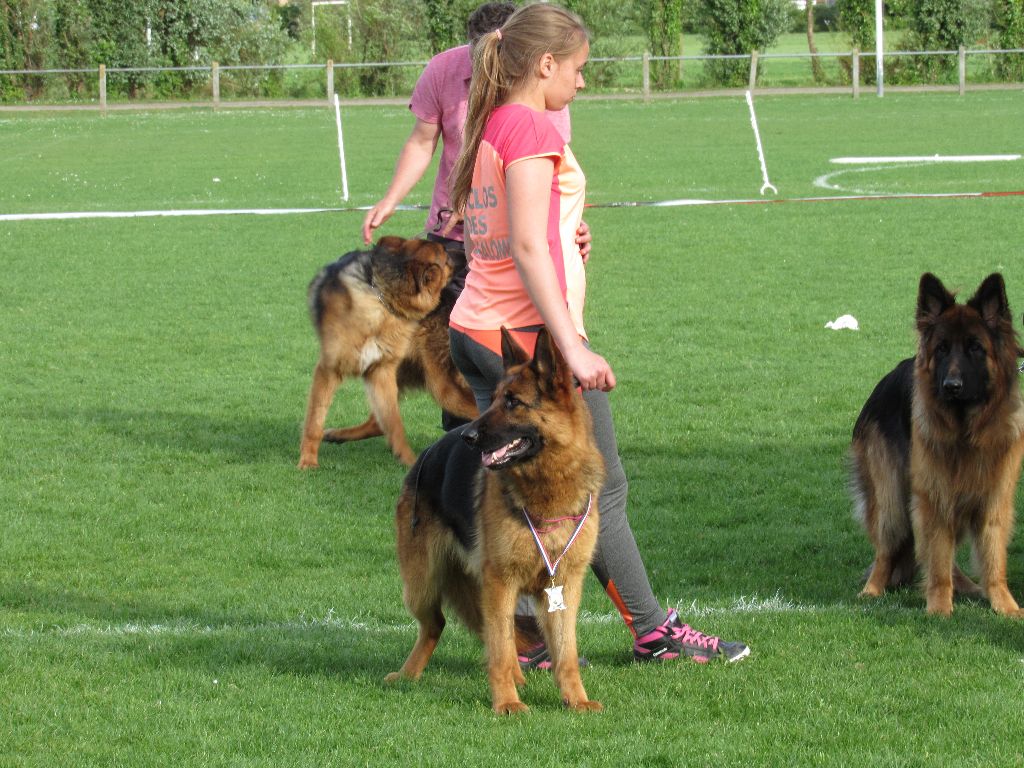 Loper du mont du tassili - 11 EME EXCELLENT