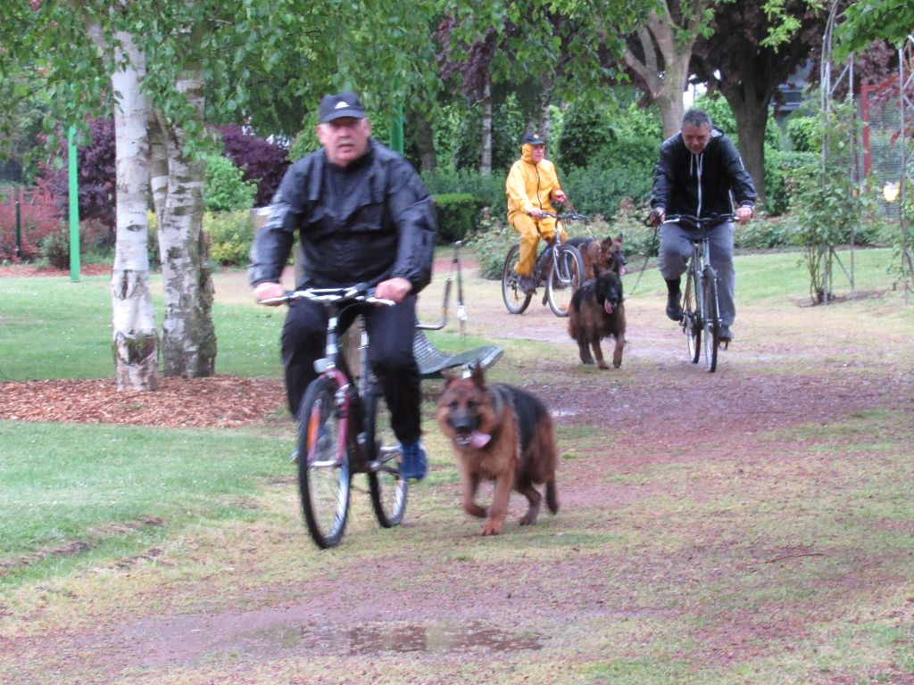 Loper du mont du tassili - brevet d'endurance ( 20 kms )