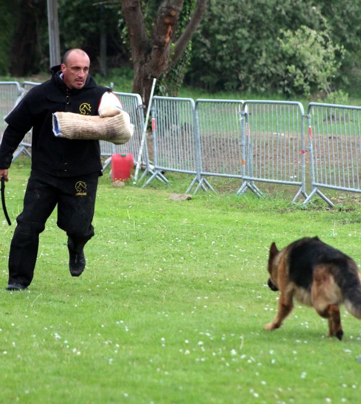 Loper du mont du tassili - korung initiale