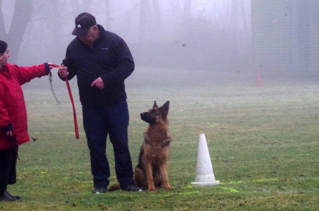 Loper du mont du tassili - brevet defense