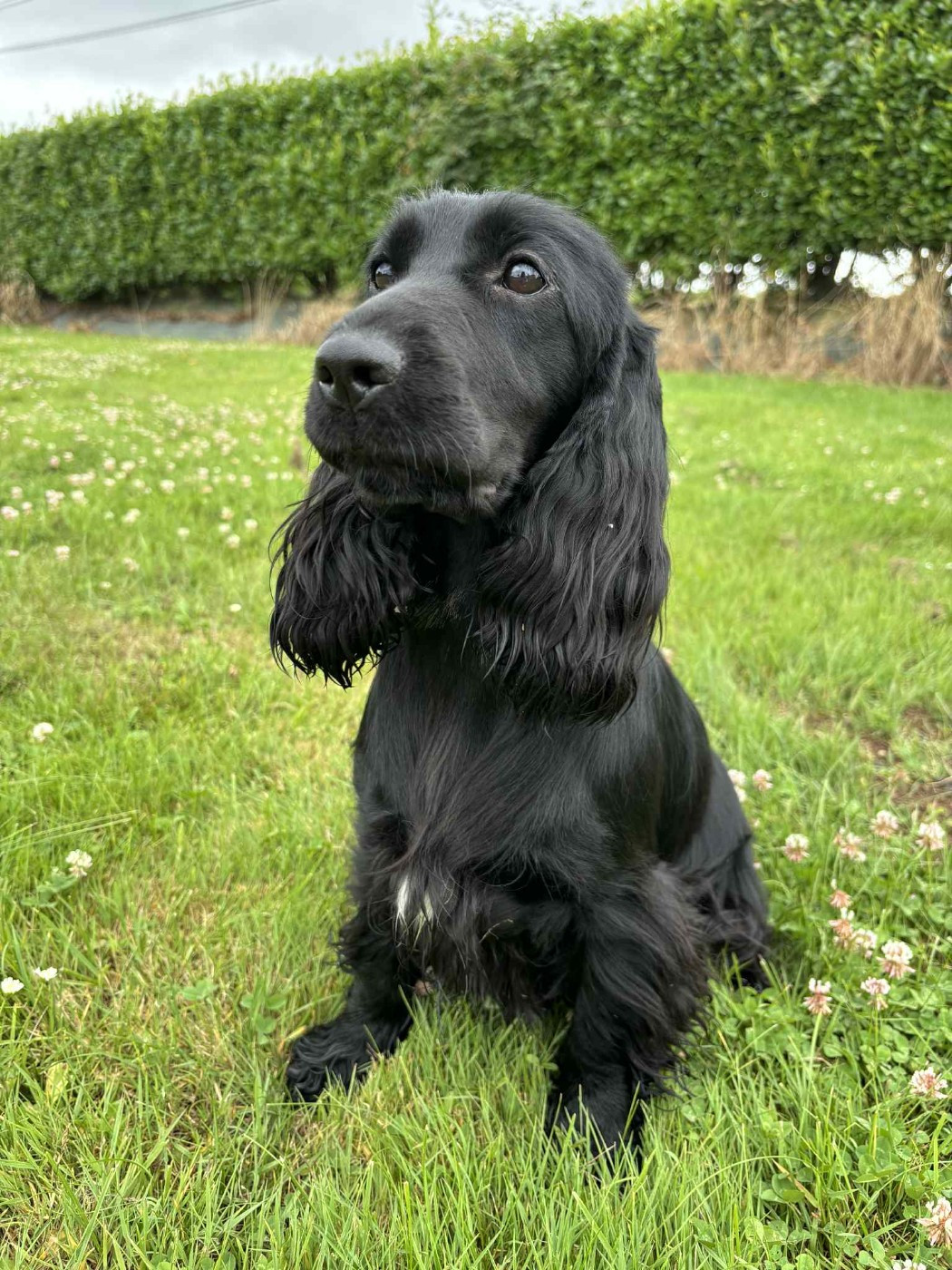 Van's De La Côte Des Légendes