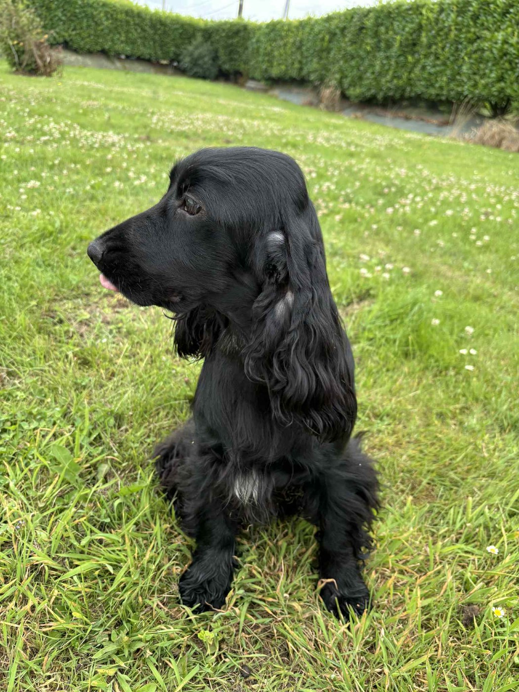 Van's De La Côte Des Légendes