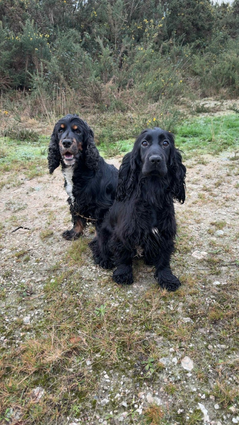 Van's De La Côte Des Légendes