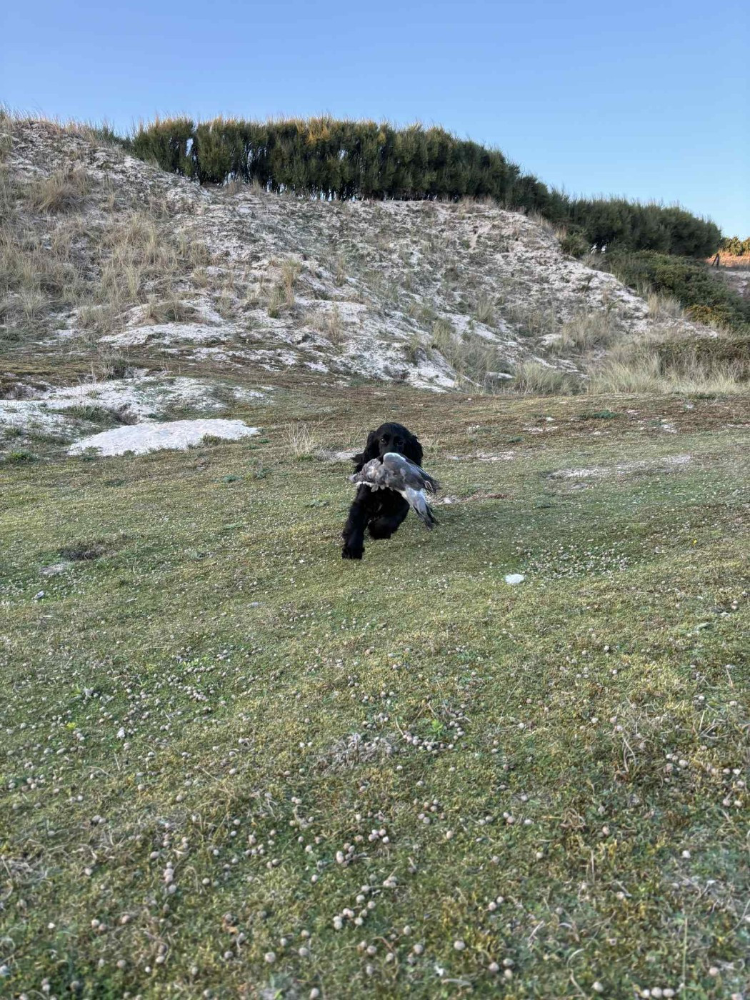 Van's De La Côte Des Légendes