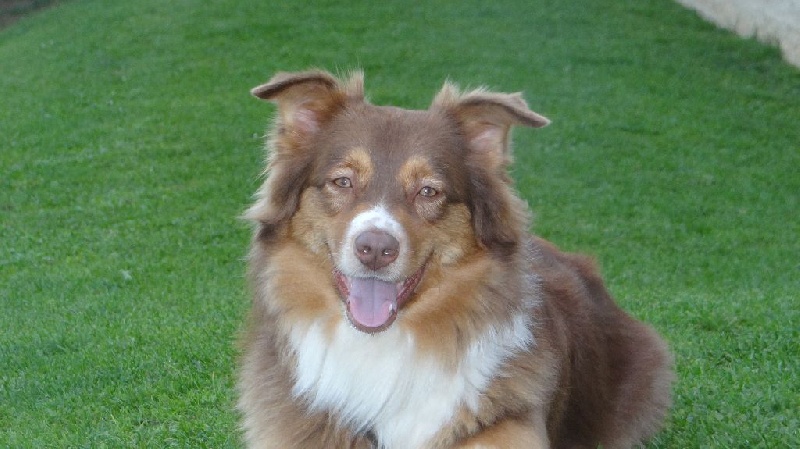 Publication : Magic Mon Trésor