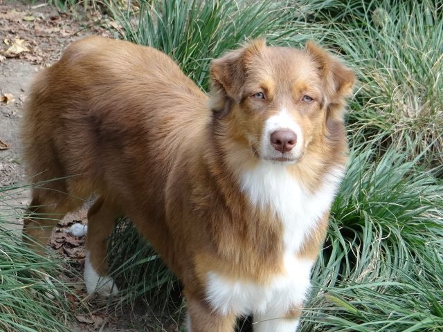 Publication : Magic Mon Trésor