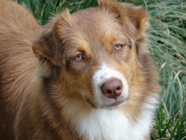 Publication : Magic Mon Trésor