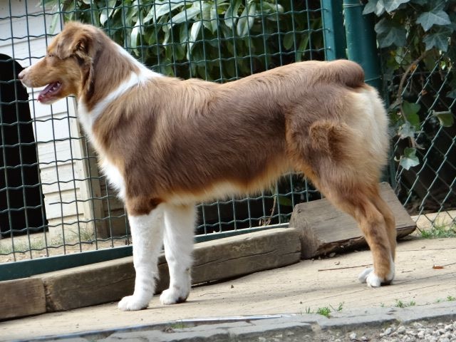 Publication : Magic Mon Trésor