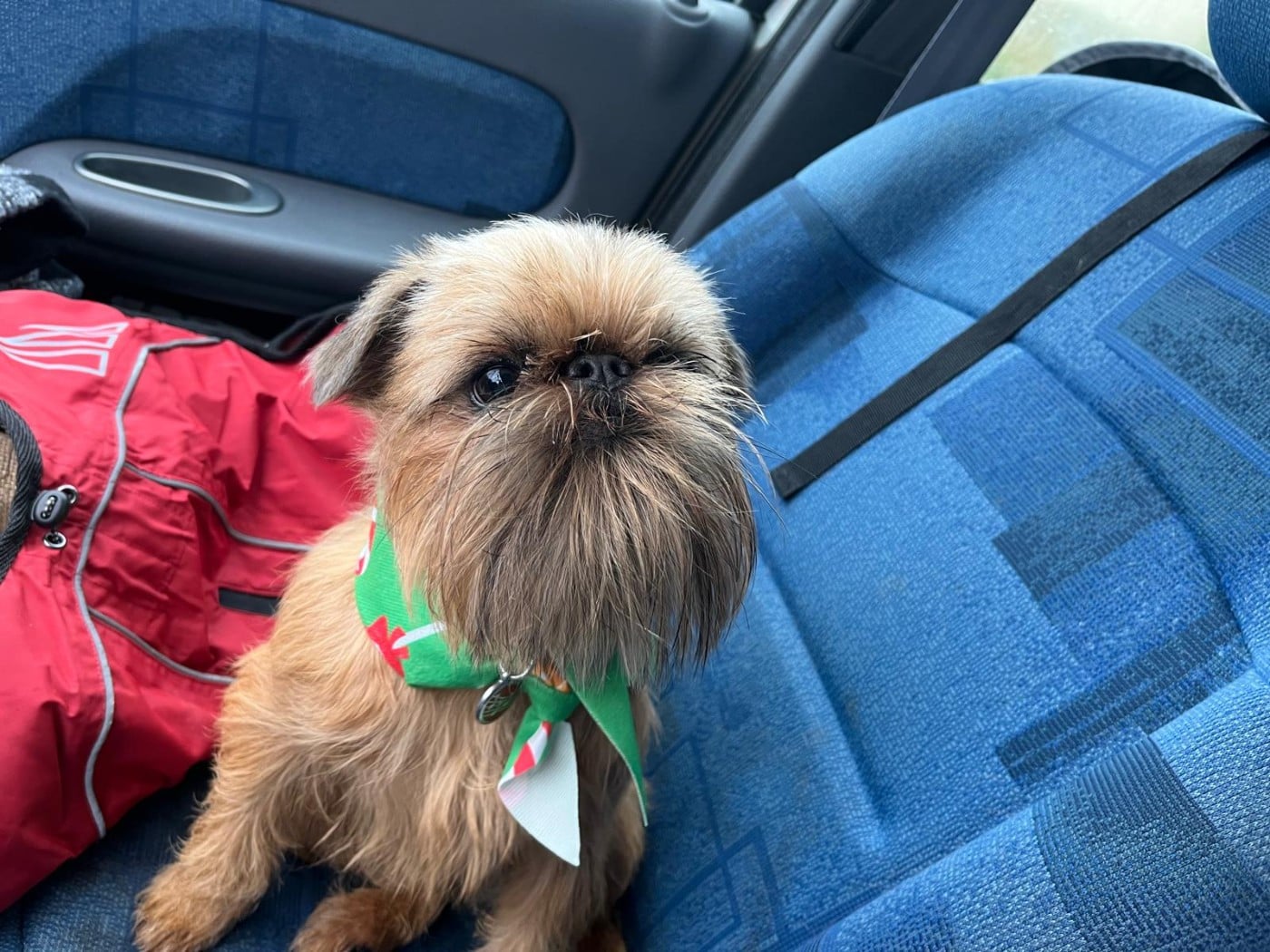 Varech De Treskanvel