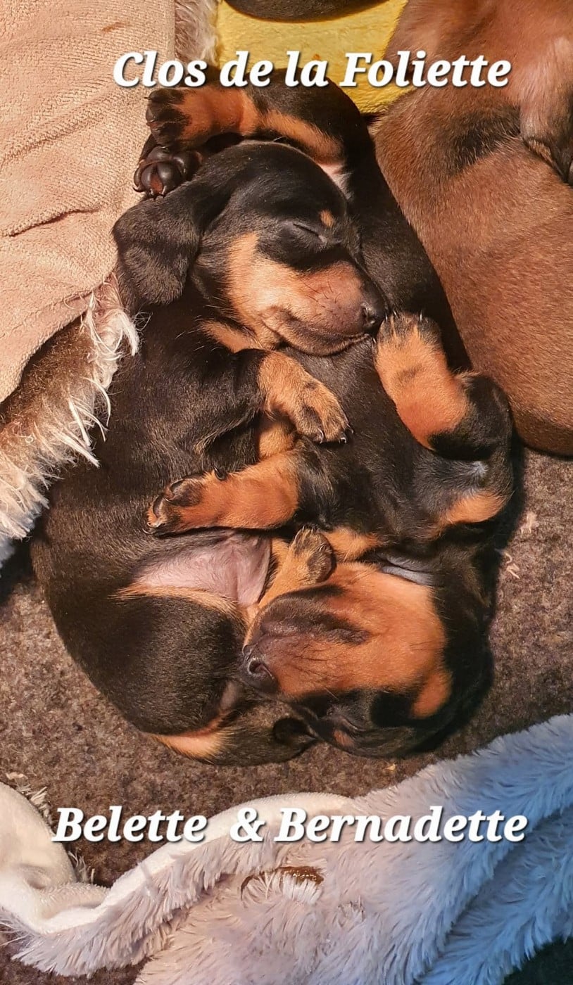 Bernadette