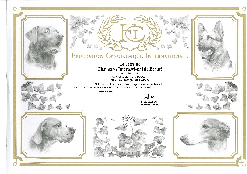 Publication : Van Hoght Auteur : Derboven-Verschoren