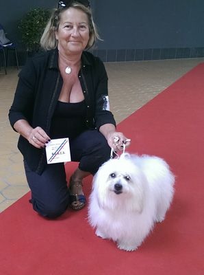 CH. Flower des petits lutins blancs - 1er exc RCACS