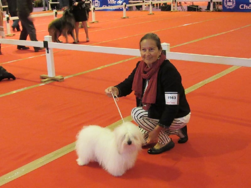 CH. Flower des petits lutins blancs - 3ème EXC