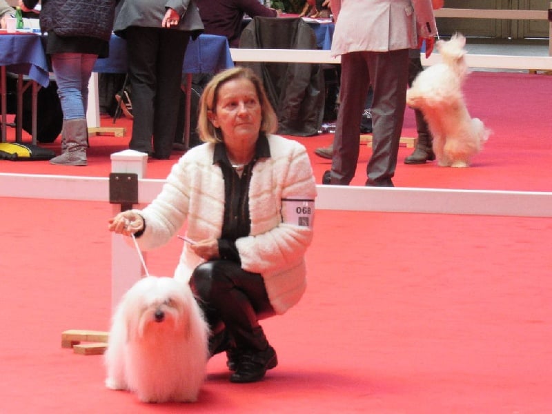 CH. Flower des petits lutins blancs - 2ème Excellent