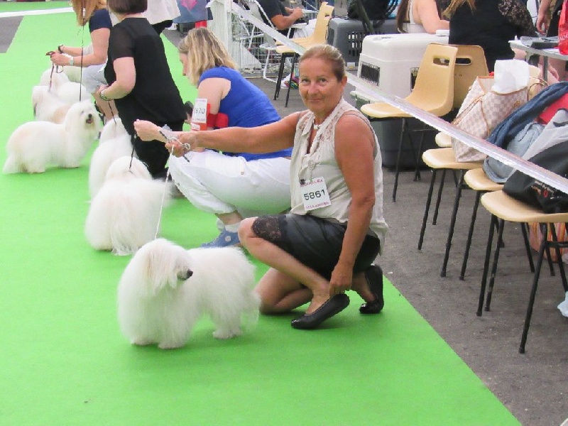 CH. Flower des petits lutins blancs - TRES BON