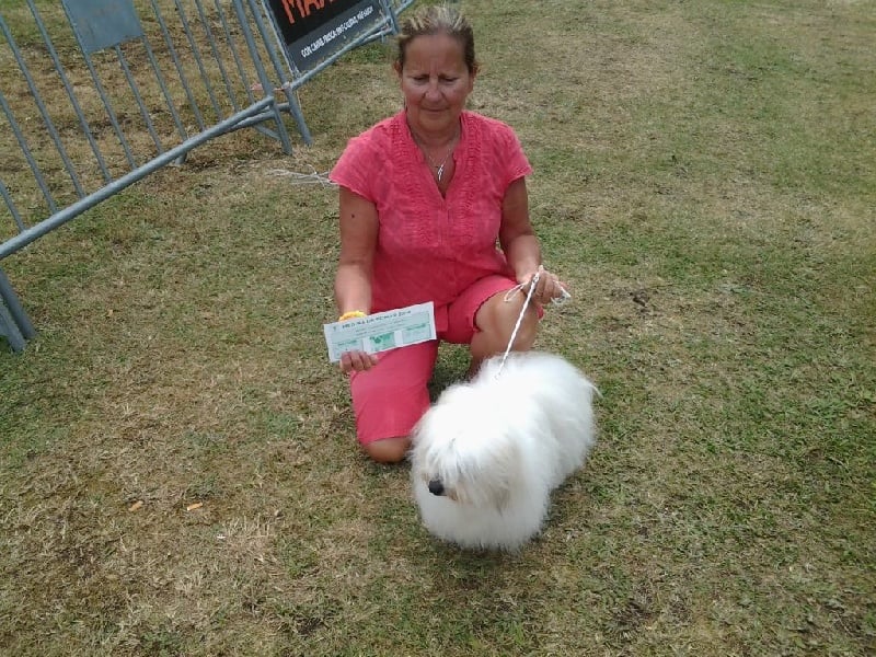 CH. Flower des petits lutins blancs - 2ème Excellent