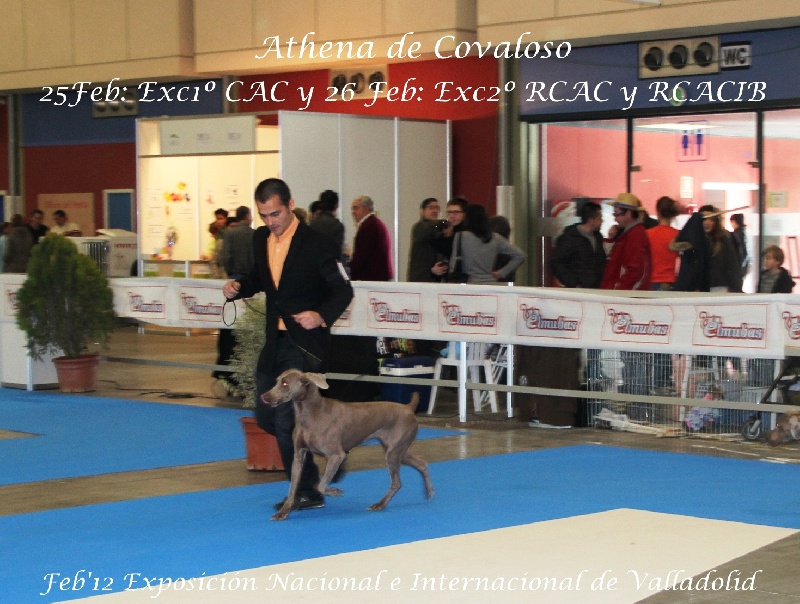 Athena de covaloso - 2 EXC RCACIB