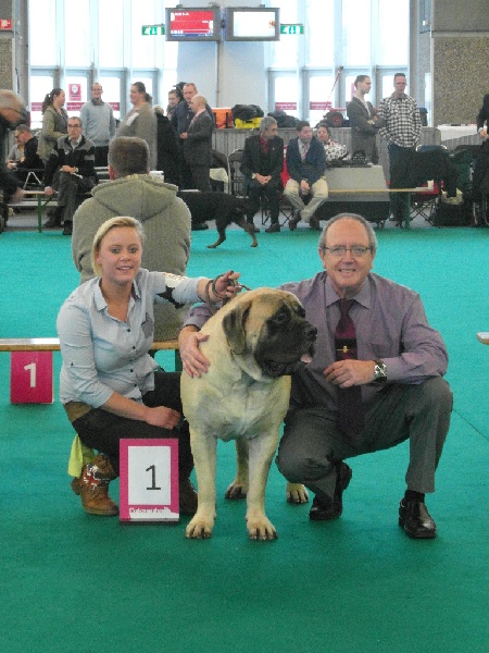CH. Lazzaro de domaine de Straz - 1 er Excellent CAC CACIB