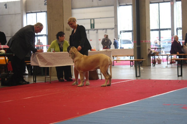 CH. Lola La Vallée Des Mountches - 2 éme TP
