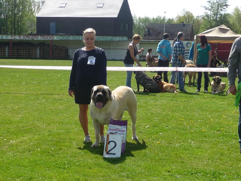 CH. Lazzaro de domaine de Straz - 2 éme Excellent