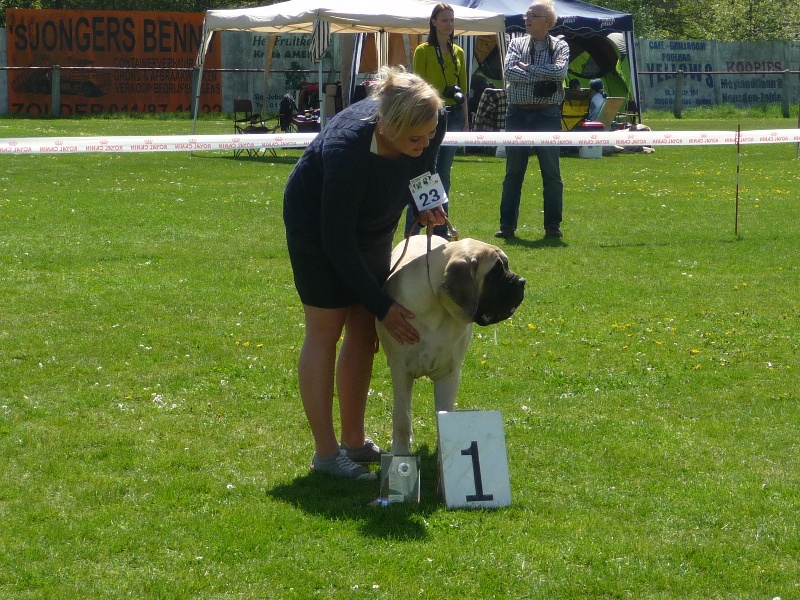 CH. Lola La Vallée Des Mountches - 1 ére Trés Pormetteur Best puppy femelle