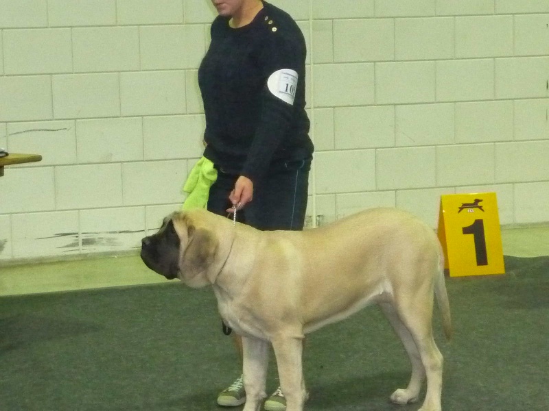 CH. Lola La Vallée Des Mountches - 2 eme TP