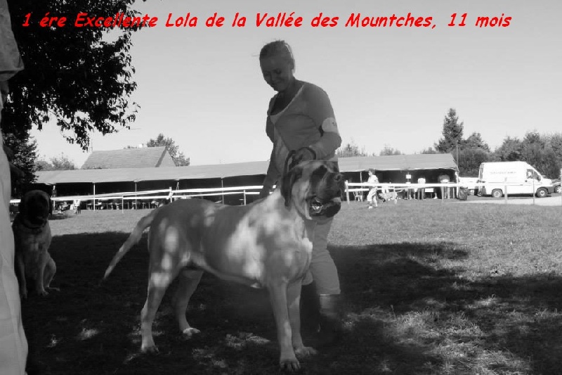 CH. Lola La Vallée Des Mountches - 1 ére Excellent