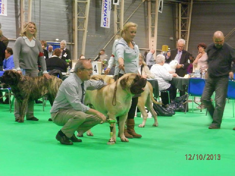 CH. Lazzaro de domaine de Straz - CACS BOB